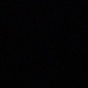 Meet your Posher, Maeve